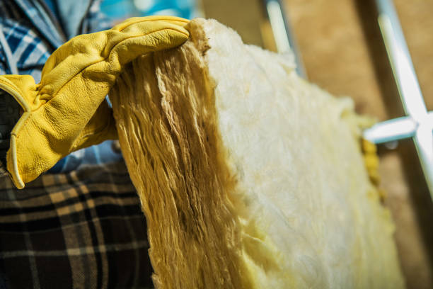 Best Soundproof Insulation Installation  in Penitas, TX