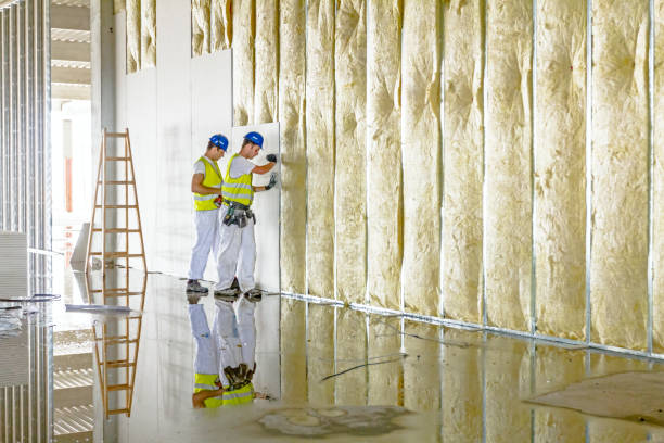Best Insulation Contractors for Homes  in Penitas, TX
